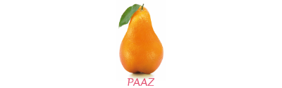 Logo Paaz